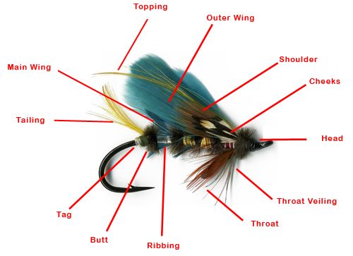 Fly tying Proportions of fly